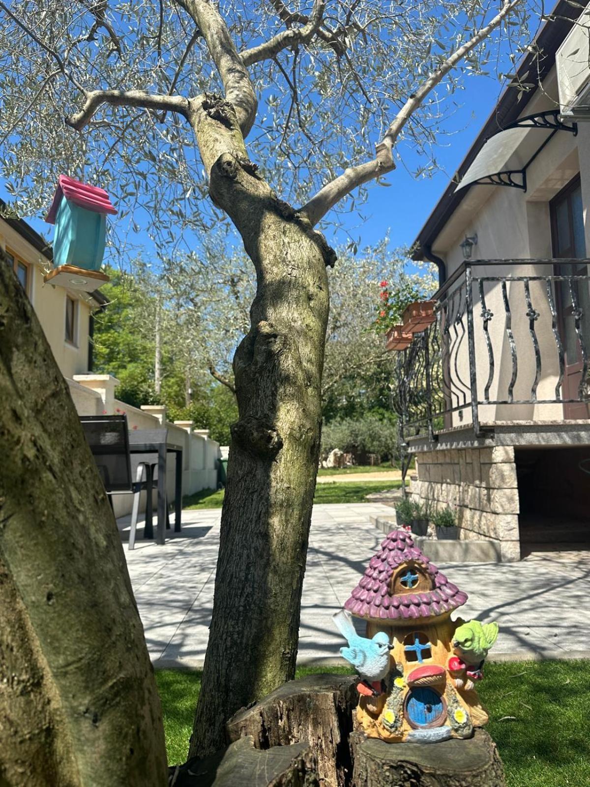 Apartment Nina With Private Pool Nova Vas  Zewnętrze zdjęcie